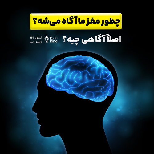 چطور مغز ما آگاه می‌شه؟
