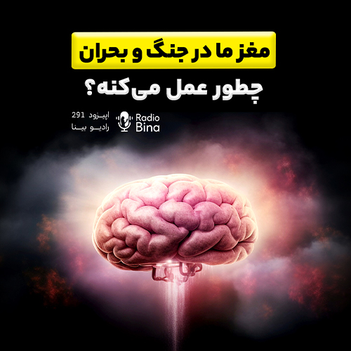 مغز ما در جنگ و بحران چطور عمل میکند؟